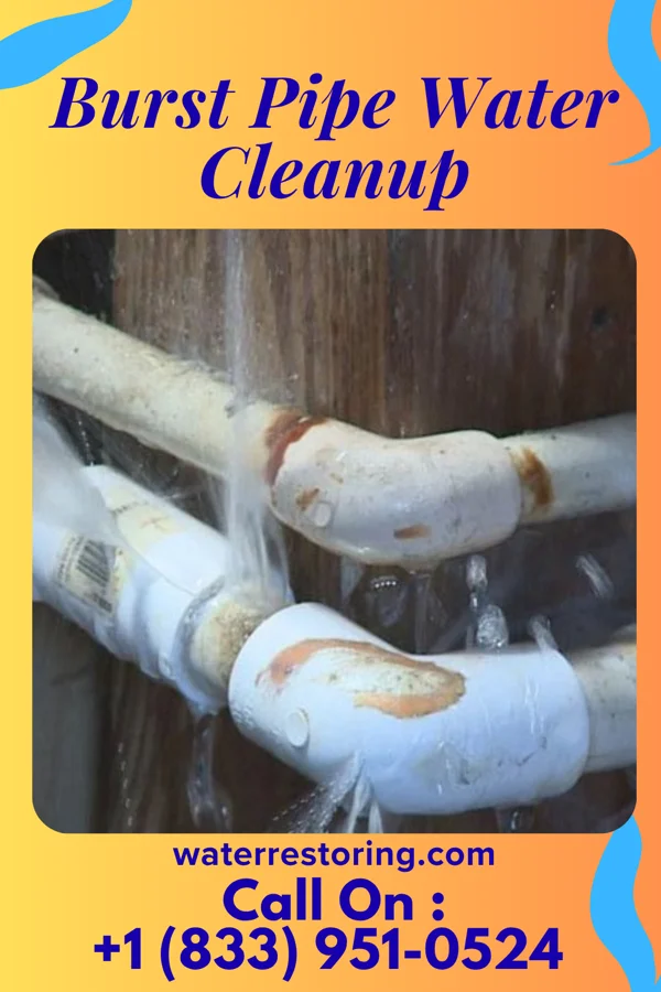Burst Pipe Water Cleanup in Mashpee Neck, MA