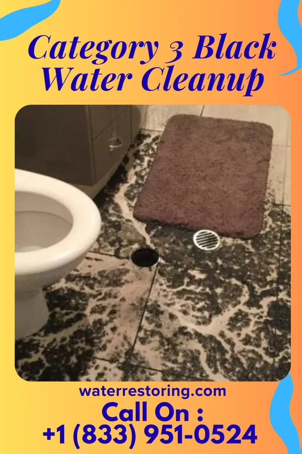 Category 3 Black Water Cleanup in Mashpee Neck, MA