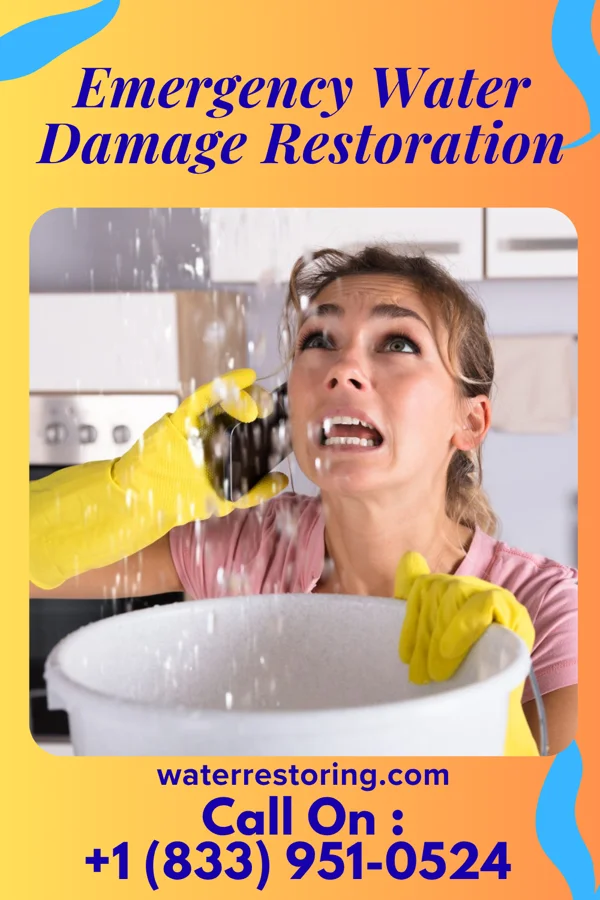 Emergency Water Damage Restoration in Mashpee Neck, MA