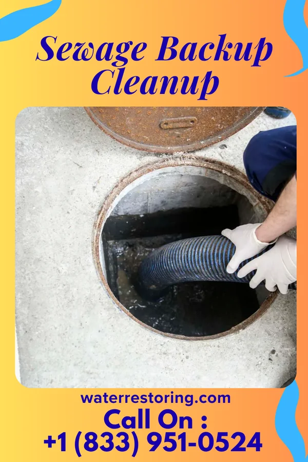 Sewage Backup Cleanup in Mashpee Neck, MA