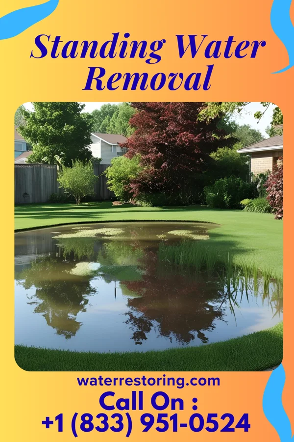 Standing Water Removal in Mashpee Neck, MA